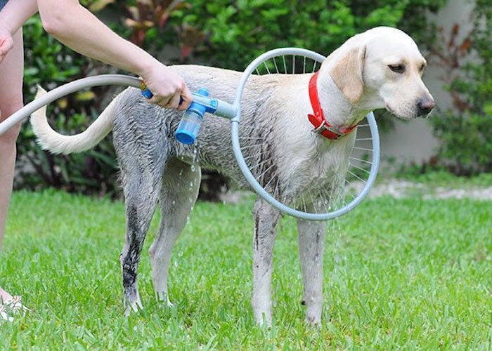 Fully automatic 360 degree pet supplies bath ring