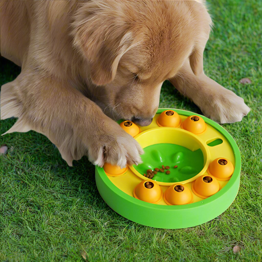 Dog Pets Puzzle Toys Slow Feeder Interactive Increase Puppy IQ Food Dispenser Slowly Eating NonSlip Bowl Pet Dogs Training Game